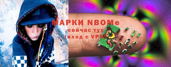 мдпв Кодинск