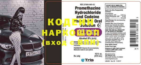мдпв Кодинск