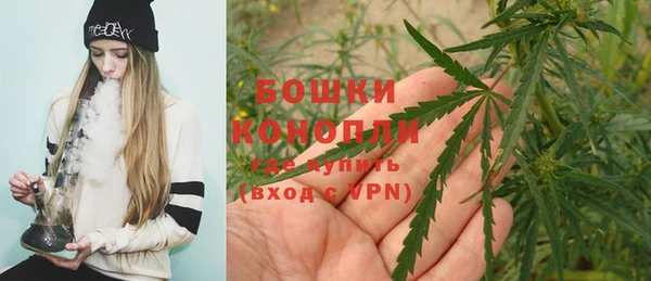 прущая мука Козловка